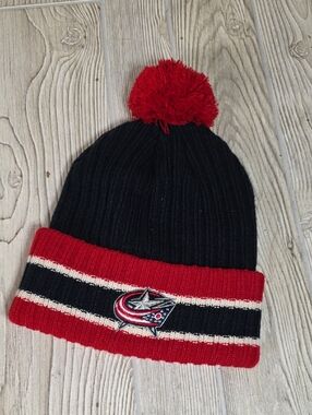 Fan Favorite Columbus Blue Jackets NHL Knit Hat with Pom One Size Fits All
